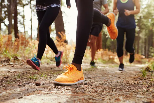 Quatre coureurs de dos sur un sentier de forêt, cadrés sur leurs jambes et leurs chaussures
